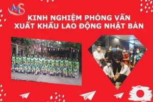 msvina kinh nghiem do phong van di xkld nhat ban