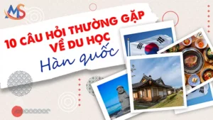 10 cau hoi thuong gap ve Han quoc msvietnam