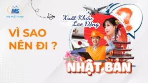 5 ly do nen xuat khau lao dong nhat ban 2023 2