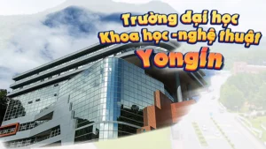 Truong dai hoc nghe thuat Yongin msvietnam