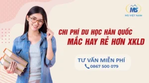 Chi phí du học Hàn Quốc: Mắc hay rẻ hơn xuất khẩu lao động?