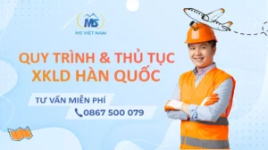 Quy trình - thủ tục xuất khẩu lao động Hàn Quốc