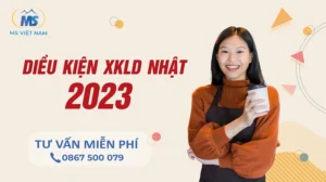 Điều Kiện Xuất Khẩu Lao Động Nhật Bản 2023 Mới Nhất