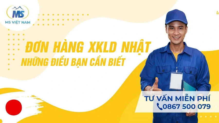 don hang xkld nhat nhung dieu ban can biet