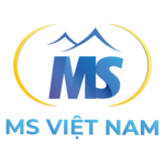 msvina.vn