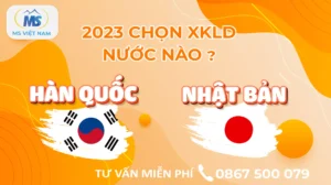 so sanh luong lao dong tai han quoc va nhat ban nam 2023 1