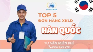 top 5 don hang xkld han quoc luong cao nhat 2023 3 1