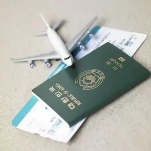 visa e7 han quoc