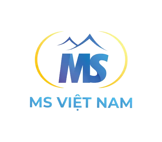 Logo MS Việt Nam