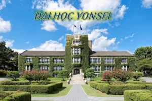 Dai-hoc-yonsei (convert.io)