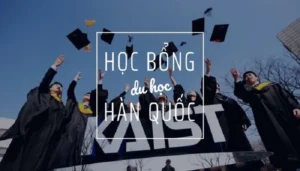 Hocbongduhochanquochedaihocvasaudaihoc (convert.io)