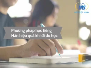 Phương Pháp Nào Là Học Tiếng Hàn Hiệu Quả Nhất (1) (convert.io)