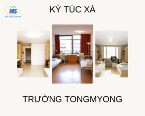 Ktx TrƯỜng Tongmyong (convert.io)