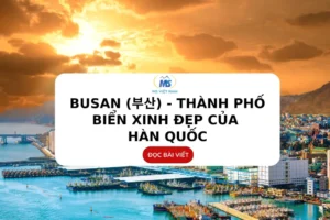 Du Học Hàn Quốc Tại Busan_ Thành Phố Cảng Sôi động 3