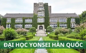 Trường Đại Học Yonsei Hàn Quốc