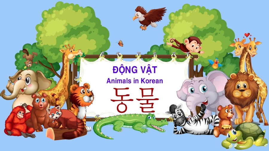 Từ Vựng Tiếng Hàn Về Động Vật Học Ngay 100 Từ Vựng Tiếng Hàn Về Động Vật