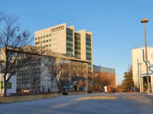 Trường Đại Học Seoul Sirip Hàn Quốc