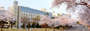 ĐẠI HỌC DAEGU (대구대학교)