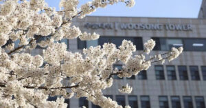 Woosong University
