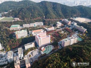 Trường Đại học Dong-Eui