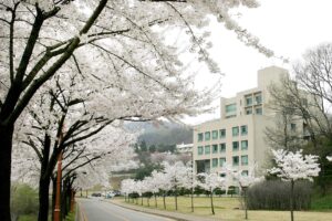 Khuôn Viên Trường Đại Học Myongjin
