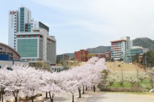 KYUNGIL UNIVERSITY – KIẾN TẠO TƯƠNG LAI, DẪN LỐI THÀNH CÔNG 4 Kyungil University