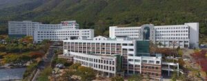 Youngsan University